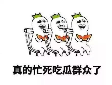 吃瓜侍从的自我修养,从旁观者到深度解读